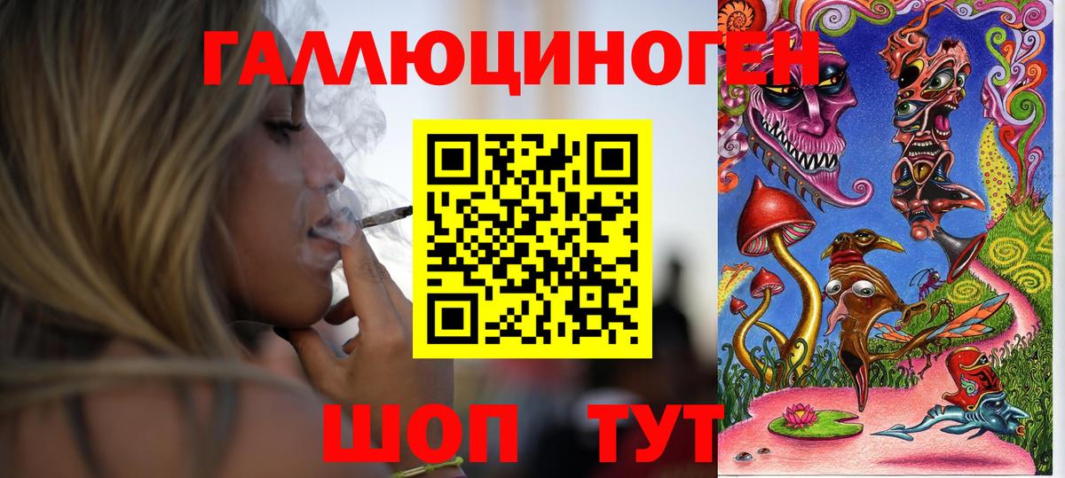 Шелехов  Псилоцибиновые грибы Cubensis  Вход с VPN 